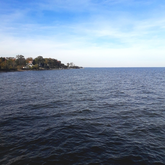 Meet your Posher, Brenda - Picture 2 of 13